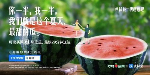 娱乐圈吃瓜合集文案图片